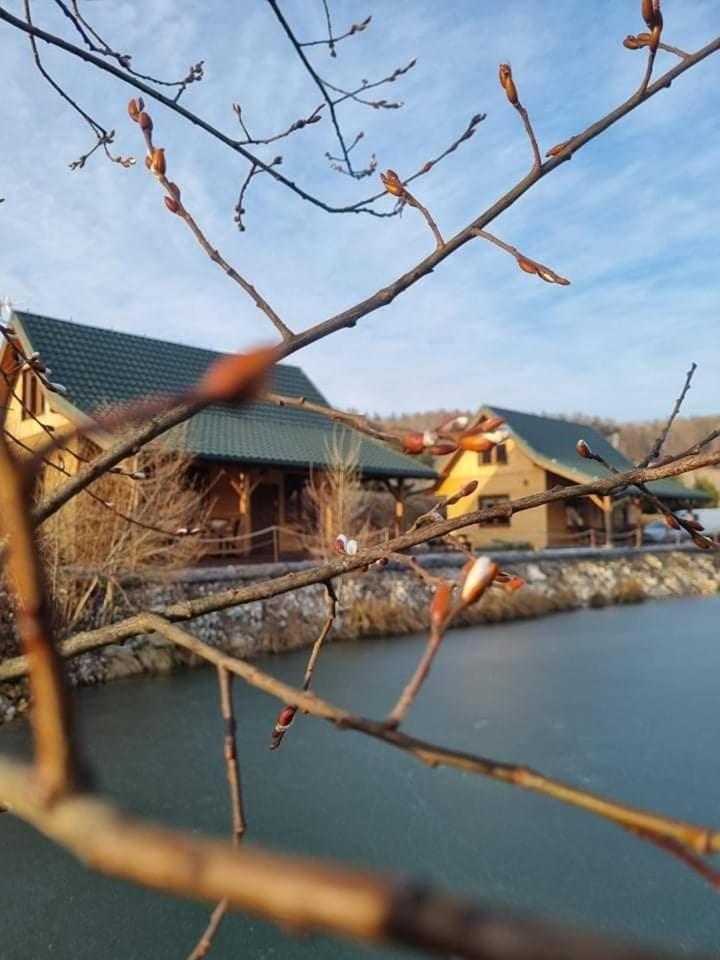 Domki Gorska Zatoka Stronie Slaskie Bagian luar foto